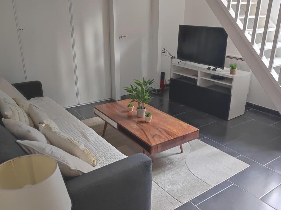 Duplex En Centre-ville Apartment Le Mans