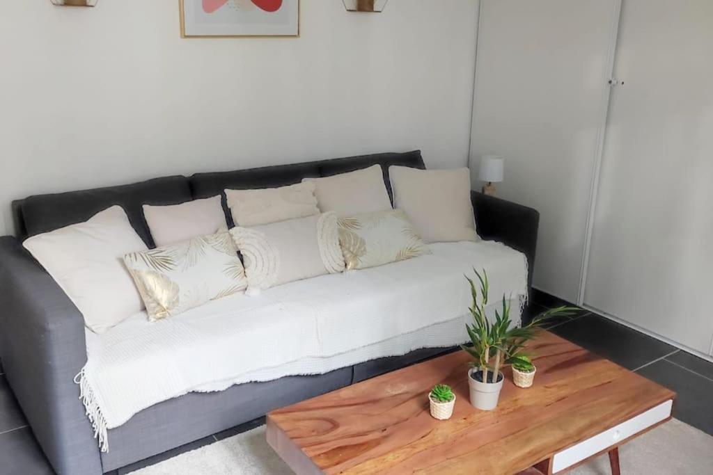 Apartment Duplex En Centre-ville *